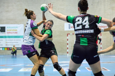 Fotos del partido entre Replasa Beti Onak y Costa del Sol Málaga