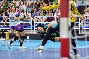 Fotos del partido entre Replasa Beti Onak y Costa del Sol Málaga