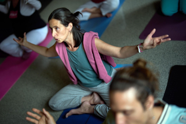 Fotos del Congreso Ibérico de Yoga Satsanga