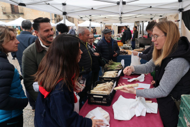 Música, catas, gastronomía y feria en el Día del Espárrago en Dicastillo
