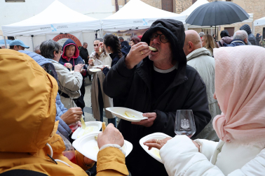 Música, catas, gastronomía y feria en el Día del Espárrago en Dicastillo