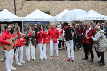 Música, catas, gastronomía y feria en el Día del Espárrago en Dicastillo