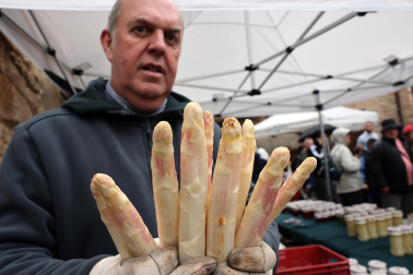 Música, catas, gastronomía y feria en el Día del Espárrago en Dicastillo