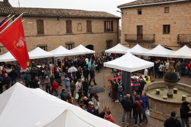 Música, catas, gastronomía y feria en el Día del Espárrago en Dicastillo