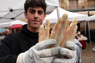 Música, catas, gastronomía y feria en el Día del Espárrago en Dicastillo