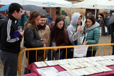Música, catas, gastronomía y feria en el Día del Espárrago en Dicastillo