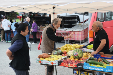Fotos de la Feria de Primavera de Santesteban