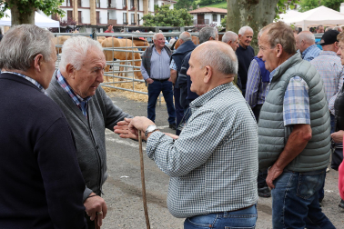 Fotos de la Feria de Primavera de Santesteban