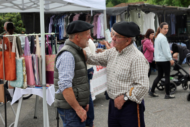 Fotos de la Feria de Primavera de Santesteban