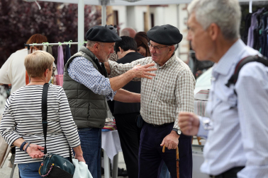 Fotos de la Feria de Primavera de Santesteban