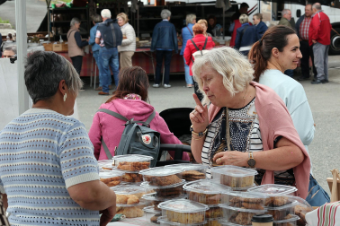 Fotos de la Feria de Primavera de Santesteban