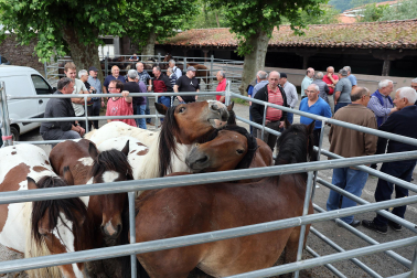 Fotos de la Feria de Primavera de Santesteban