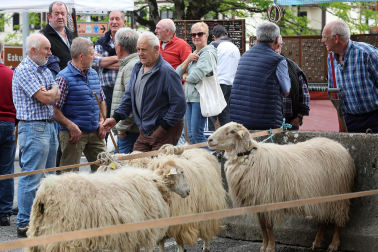 Fotos de la Feria de Primavera de Santesteban