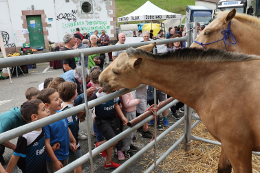 Fotos de la Feria de Primavera de Santesteban