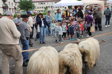 Fotos de la Feria de Primavera de Santesteban