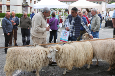 Fotos de la Feria de Primavera de Santesteban