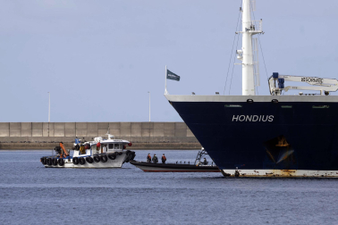 Fotos del desembarco de los pasajeros del crucero MV Hondius y su traslado al aeropuerto de Tenerife Sur