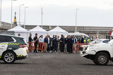 Fotos del desembarco de los pasajeros del crucero MV Hondius y su traslado al aeropuerto de Tenerife Sur