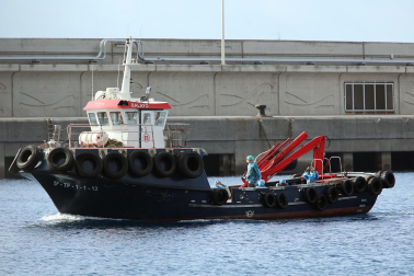Fotos del desembarco de los pasajeros del crucero MV Hondius y su traslado al aeropuerto de Tenerife Sur