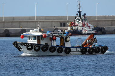 Fotos del desembarco de los pasajeros del crucero MV Hondius y su traslado al aeropuerto de Tenerife Sur