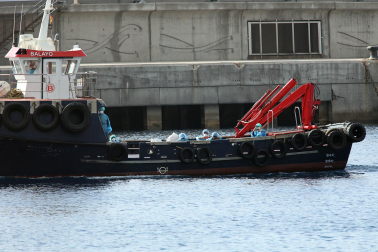Fotos del desembarco de los pasajeros del crucero MV Hondius y su traslado al aeropuerto de Tenerife Sur