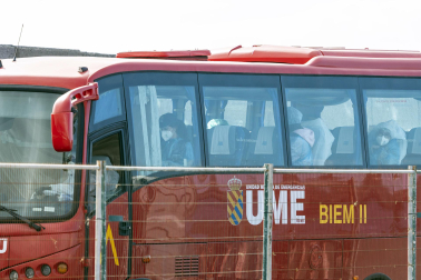Fotos del desembarco de los pasajeros del crucero MV Hondius y su traslado al aeropuerto de Tenerife Sur