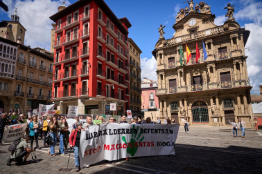Fotos de la manifestación convocada por la Coordinadora de Plataformas Vecinales contra las plantas de biogás en Navarra