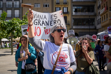 Fotos de la manifestación convocada por la Coordinadora de Plataformas Vecinales contra las plantas de biogás en Navarra