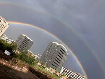 Después del diluvio, luce el sol en Pamplona