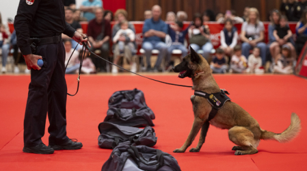 Expofamily volverá a contar una exhibición de perros policía