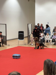 Actividades en Expofamily este sábado, 16 de mayo,  en Baluarte