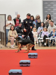 Actividades en Expofamily este sábado, 16 de mayo,  en Baluarte