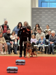 Actividades en Expofamily este sábado, 16 de mayo,  en Baluarte