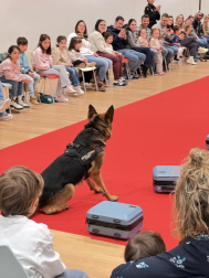 Actividades en Expofamily este sábado, 16 de mayo,  en Baluarte