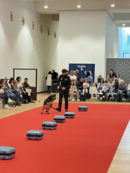 Actividades en Expofamily este sábado, 16 de mayo,  en Baluarte