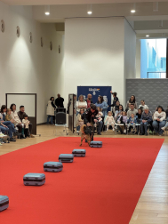 Actividades en Expofamily este sábado, 16 de mayo,  en Baluarte