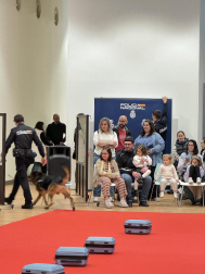 Actividades en Expofamily este sábado, 16 de mayo,  en Baluarte