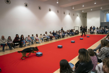 Actividades en Expofamily este sábado, 16 de mayo, en Baluarte