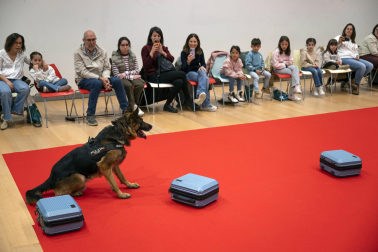 Actividades en Expofamily este sábado, 16 de mayo, en Baluarte