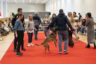 Actividades en Expofamily este sábado, 16 de mayo, en Baluarte