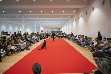Actividades en Expofamily este sábado, 16 de mayo, en Baluarte