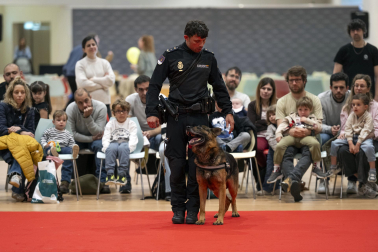 Actividades en Expofamily este sábado, 16 de mayo, en Baluarte