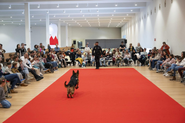 Actividades en Expofamily este sábado, 16 de mayo, en Baluarte