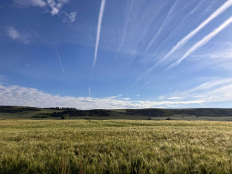 Buen tiempo y día primaveral en la comarca de Pamplona