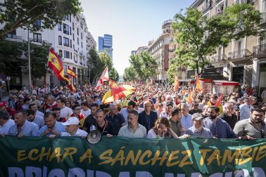 Manifestación Madrid
