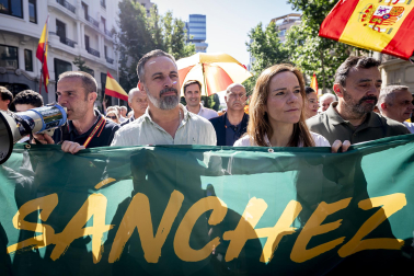 Manifestación Madrid