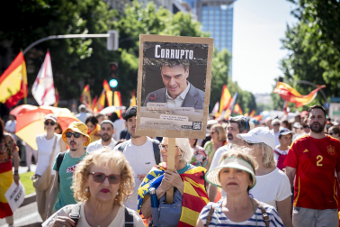 Manifestación Madrid