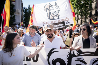 Manifestación Madrid