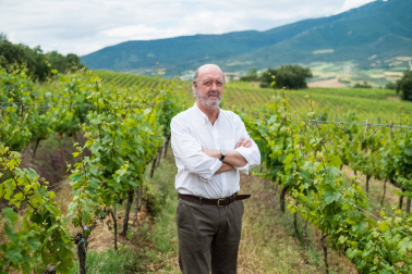 Julián Chivite López, en el viñedo de Legardeta.