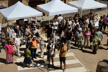 Fotos del Día del Rosado en San Martín de Unx